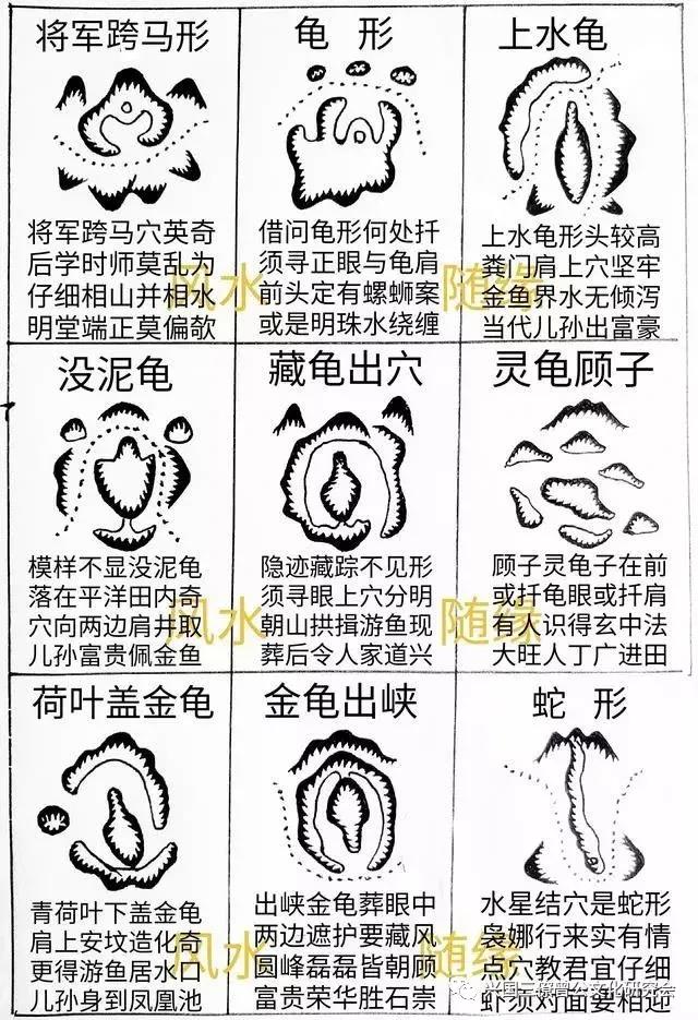 风水中论喝形取穴(图2)